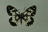  ( - DNAwthmel 167)  @14 [ ] Copyright (2009) Unspecified Unspecified