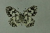  ( - DNAwthmel 167)  @13 [ ] Copyright (2009) Unspecified Unspecified