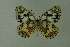  ( - DNAwthmel 168)  @13 [ ] Copyright (2009) Unspecified Unspecified