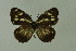  ( - DNAwemel 002)  @13 [ ] Copyright (2009) Unspecified Unspecified