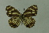  ( - DNAwemel 002)  @13 [ ] Copyright (2009) Unspecified Unspecified