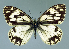  ( - GCB-M 10)  @12 [ ] Copyright (2009) Unspecified Unspecified