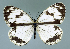  ( - GCB-M 12)  @13 [ ] Copyright (2009) Unspecified Unspecified