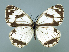  ( - GCB-M 13)  @13 [ ] Copyright (2009) Unspecified Unspecified