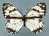  ( - GCB-M 15)  @13 [ ] Copyright (2009) Unspecified Unspecified