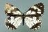  ( - GCB-M 17)  @13 [ ] Copyright (2009) Unspecified Unspecified