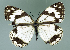  ( - GCB-M 18)  @13 [ ] Copyright (2009) Unspecified Unspecified