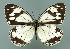  ( - GCB-M 19)  @14 [ ] Copyright (2009) Unspecified Unspecified