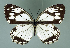  ( - GCB-M 20)  @13 [ ] Copyright (2009) Unspecified Unspecified