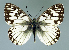  ( - GCB-M 24)  @14 [ ] Copyright (2009) Unspecified Unspecified