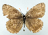  ( - GCB-M 5)  @13 [ ] Copyright (2009) Unspecified Unspecified