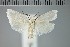  ( - MSterling043)  @11 [ ] CreativeCommons  Attribution Non-Commercial Share-Alike (2018) Mark J. Sterling NHMUK