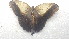  ( - MEUNAH-0084)  @12 [ ] creative commons  non-commercial only (2017) UNAH UNAH