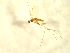  ( - BIOUG01784-A01)  @12 [ ] CreativeCommons - Attribution (2012) CBG Photography Group Centre for Biodiversity Genomics