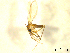  ( - BIOUG01784-A02)  @12 [ ] CreativeCommons - Attribution (2012) CBG Photography Group Centre for Biodiversity Genomics
