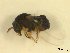  ( - BIOUG01784-D07)  @12 [ ] CreativeCommons - Attribution (2012) CBG Photography Group Centre for Biodiversity Genomics