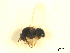  ( - BIOUG01784-E01)  @12 [ ] CreativeCommons - Attribution (2012) CBG Photography Group Centre for Biodiversity Genomics