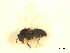  ( - BIOUG01784-E02)  @12 [ ] CreativeCommons - Attribution (2012) CBG Photography Group Centre for Biodiversity Genomics