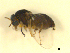  ( - BIOUG01784-E05)  @12 [ ] CreativeCommons - Attribution (2012) CBG Photography Group Centre for Biodiversity Genomics
