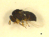  ( - BIOUG01784-E10)  @12 [ ] CreativeCommons - Attribution (2012) CBG Photography Group Centre for Biodiversity Genomics
