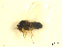  ( - BIOUG01784-E11)  @12 [ ] CreativeCommons - Attribution (2012) CBG Photography Group Centre for Biodiversity Genomics