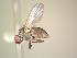  ( - BUIC-AK016)  @13 [ ] Unspecified (default): All Rights Reserved  Unspecified Unspecified