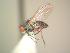  ( - BUIC-AK017)  @13 [ ] Unspecified (default): All Rights Reserved  Unspecified Unspecified