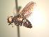  ( - BUIC-AK083)  @12 [ ] Unspecified (default): All Rights Reserved  Unspecified Unspecified