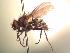  ( - BUIC-AK127)  @12 [ ] Unspecified (default): All Rights Reserved  Unspecified Unspecified