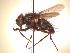  ( - BUIC-AK128)  @12 [ ] Unspecified (default): All Rights Reserved  Unspecified Unspecified