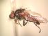  ( - BUIC-AK136)  @13 [ ] Unspecified (default): All Rights Reserved  Unspecified Unspecified