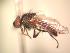  ( - BUIC-AK136)  @13 [ ] Unspecified (default): All Rights Reserved  Unspecified Unspecified