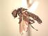  ( - BUIC-AK145)  @12 [ ] Unspecified (default): All Rights Reserved  Unspecified Unspecified