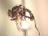  ( - BUIC-AK146)  @12 [ ] Unspecified (default): All Rights Reserved  Unspecified Unspecified