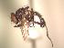  ( - BUIC-AK146)  @12 [ ] Unspecified (default): All Rights Reserved  Unspecified Unspecified