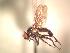  ( - BUIC-AK147)  @13 [ ] Unspecified (default): All Rights Reserved  Unspecified Unspecified
