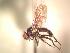  ( - BUIC-AK147)  @12 [ ] Unspecified (default): All Rights Reserved  Unspecified Unspecified