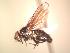  ( - BUIC-AK148)  @12 [ ] Unspecified (default): All Rights Reserved  Unspecified Unspecified