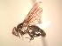  ( - BUIC-AK148)  @12 [ ] Unspecified (default): All Rights Reserved  Unspecified Unspecified