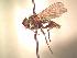  ( - BUIC-AK149)  @12 [ ] Unspecified (default): All Rights Reserved  Unspecified Unspecified