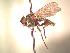  ( - BUIC-AK149)  @13 [ ] Unspecified (default): All Rights Reserved  Unspecified Unspecified