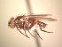  ( - BUIC-AK150)  @12 [ ] Unspecified (default): All Rights Reserved  Unspecified Unspecified