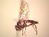  ( - BUIC-AK151)  @13 [ ] Unspecified (default): All Rights Reserved  Unspecified Unspecified