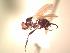 ( - BUIC-AK156)  @13 [ ] Unspecified (default): All Rights Reserved  Unspecified Unspecified
