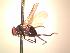  ( - BUIC-AK157)  @13 [ ] Unspecified (default): All Rights Reserved  Unspecified Unspecified