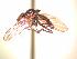  ( - BUIC-AK161)  @12 [ ] Unspecified (default): All Rights Reserved  Unspecified Unspecified