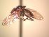  ( - BUIC-AK161)  @12 [ ] Unspecified (default): All Rights Reserved  Unspecified Unspecified