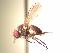  ( - BUIC-AK168)  @13 [ ] Unspecified (default): All Rights Reserved  Unspecified Unspecified