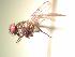  ( - BUIC-AK171)  @13 [ ] Unspecified (default): All Rights Reserved  Unspecified Unspecified