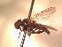  ( - BUIC-AK178)  @12 [ ] Unspecified (default): All Rights Reserved  Unspecified Unspecified